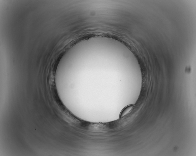 X0000102340137200808010921