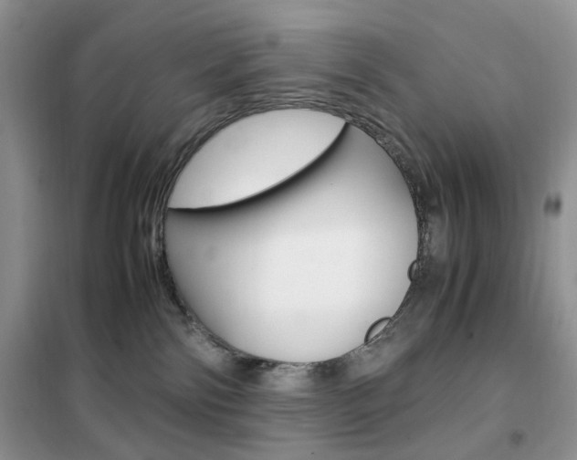 X0000102340138200808010921