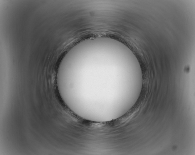 X0000102340139200808010921