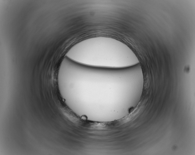 X0000102340140200808010921