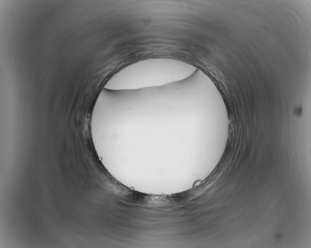 X0000102340141200808010921