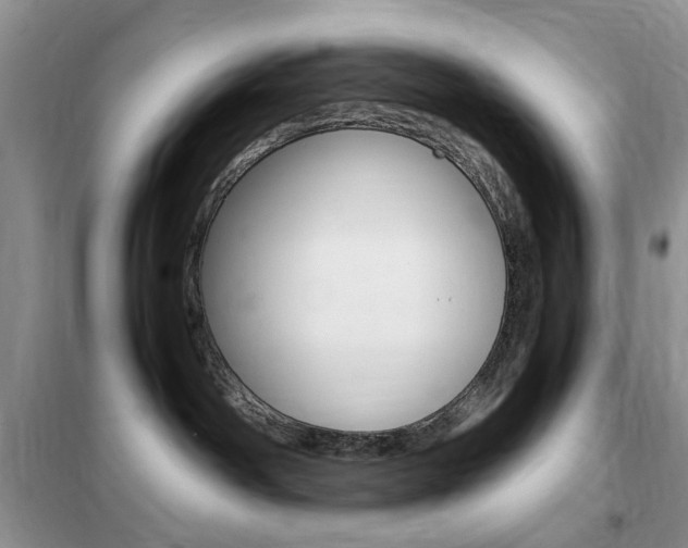 X0000102340142200808010921