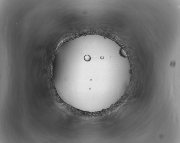 X0000102340144200808010921