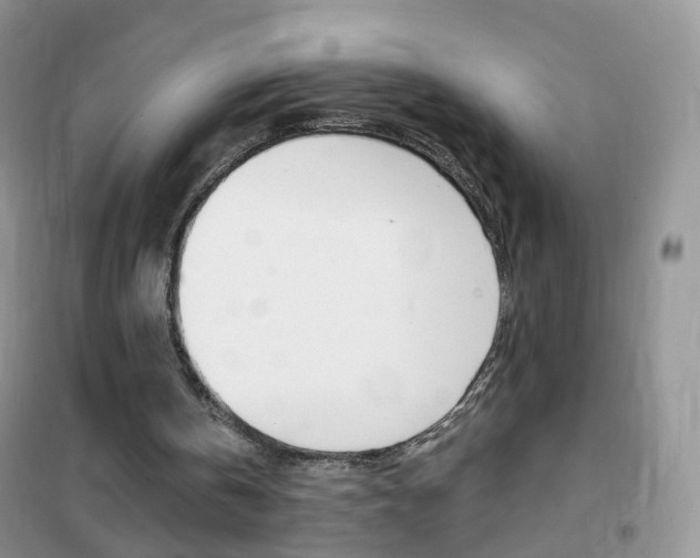 X0000102340146200808010921
