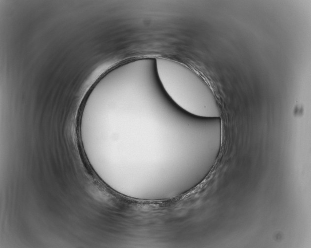 X0000102340147200808010921