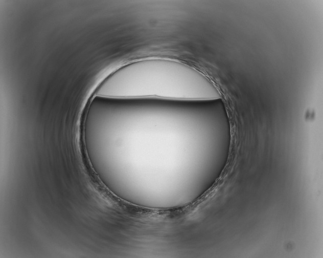 X0000102340148200808010921