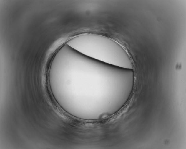 X0000102340149200808010921
