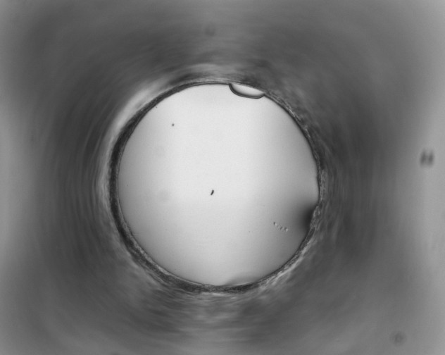 X0000102340150200808010921