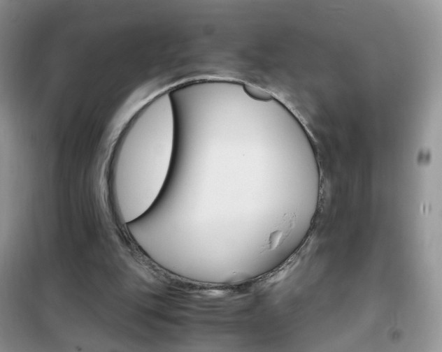 X0000102340151200808010921