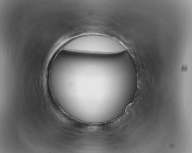 X0000102340152200808010921