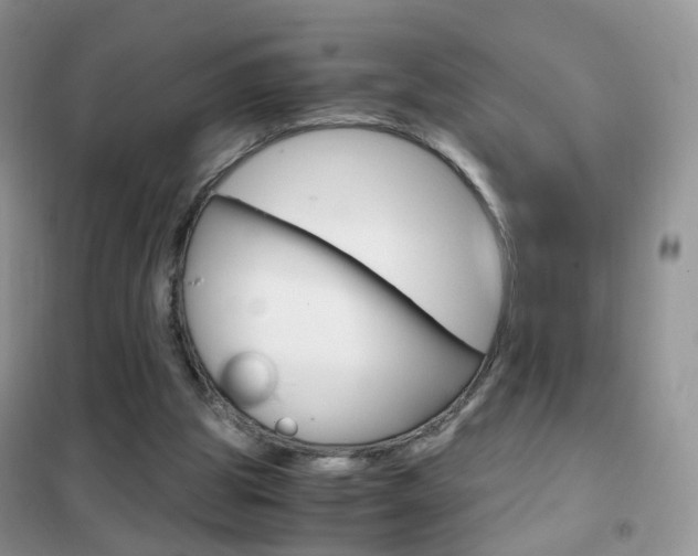 X0000102340153200808010921