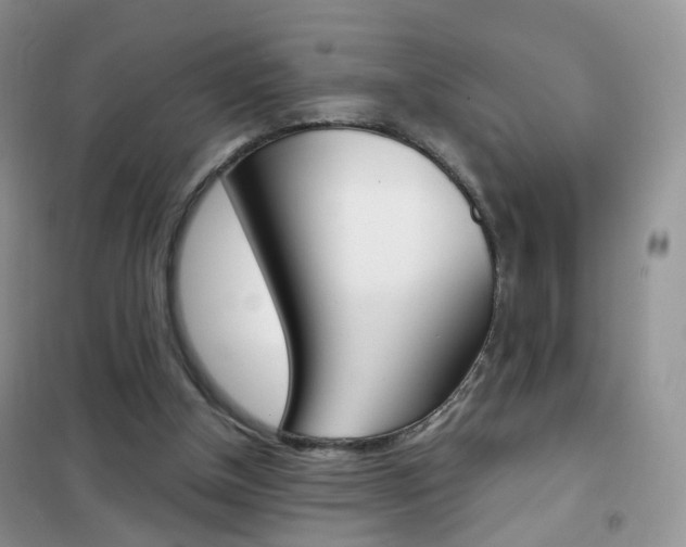 X0000102340154200808010921