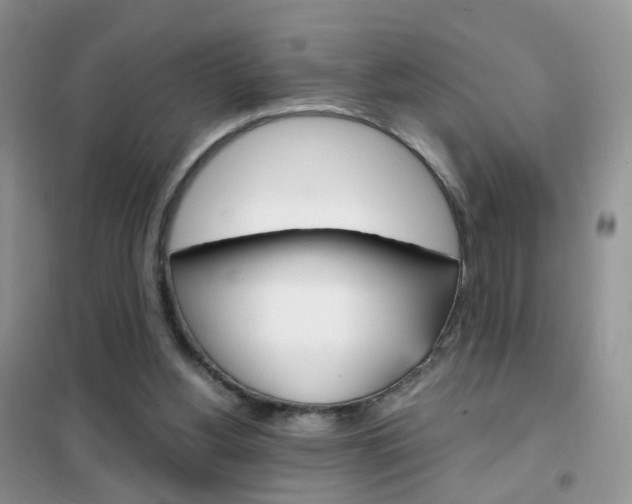X0000102340156200808010921