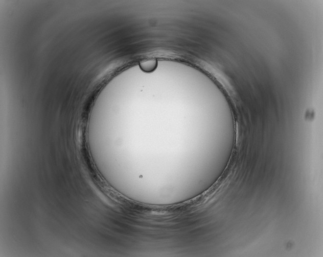 X0000102340157200808010921