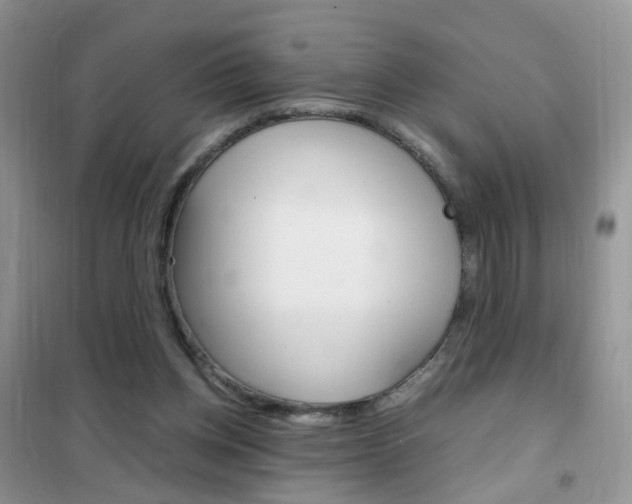 X0000102340158200808010921