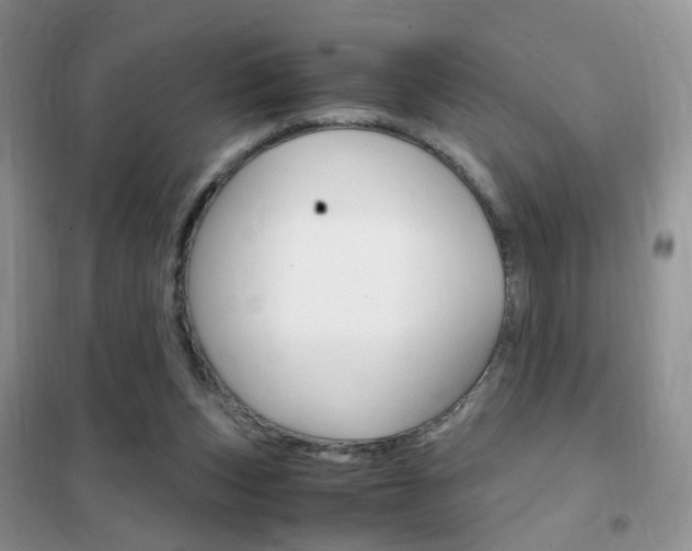 X0000102340159200808010921