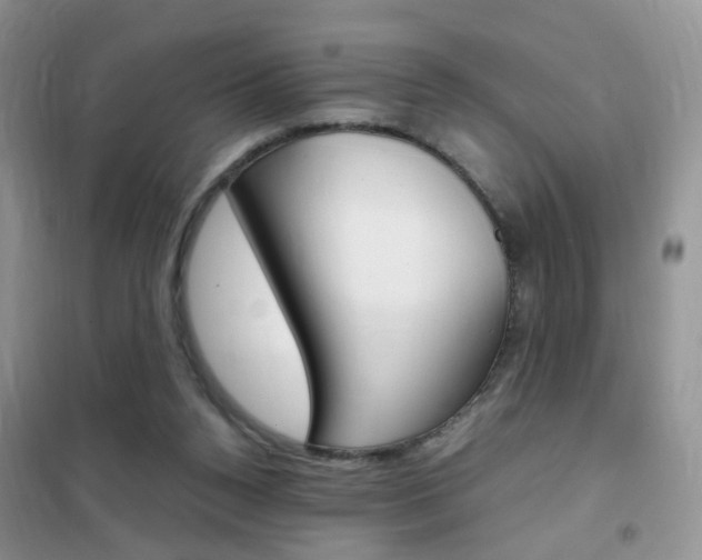 X0000102340160200808010921