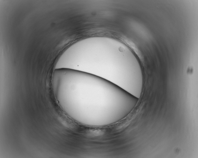 X0000102340161200808010921