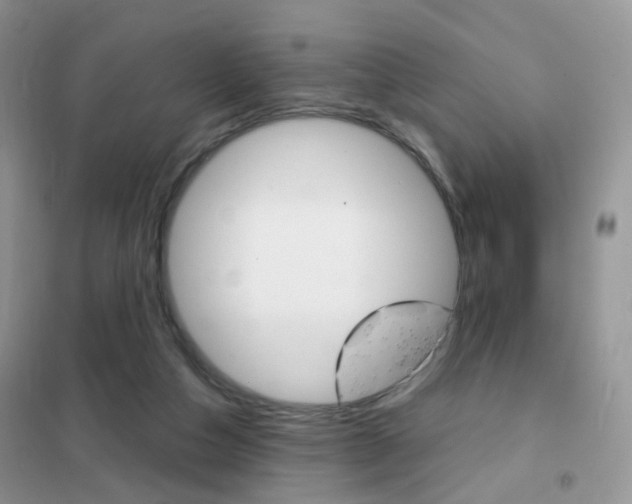 X0000102340162200808010921