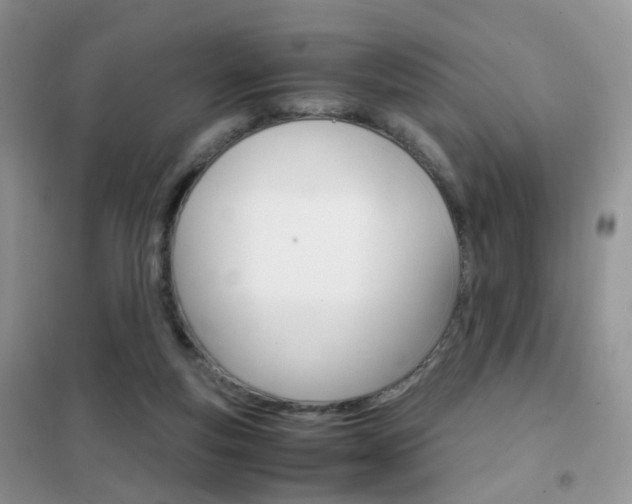 X0000102340163200808010921