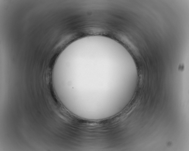 X0000102340165200808010921