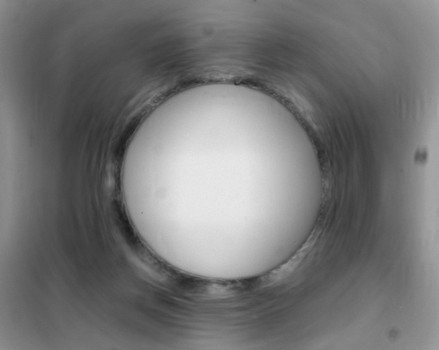 X0000102340166200808010921