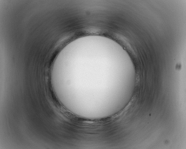 X0000102340167200808010921