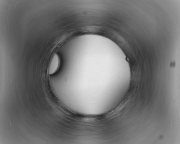 X0000102340168200808010921