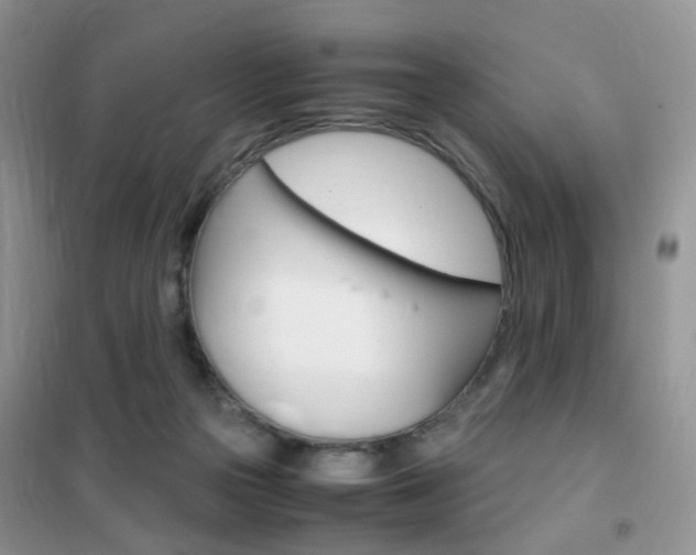 X0000102340169200808010921