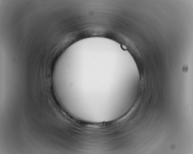 X0000102340170200808010921