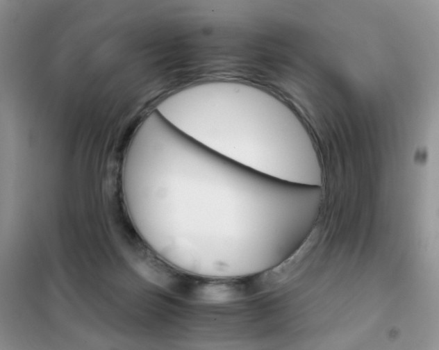 X0000102340171200808010921