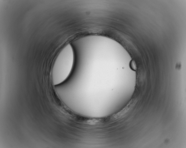 X0000102340172200808010921