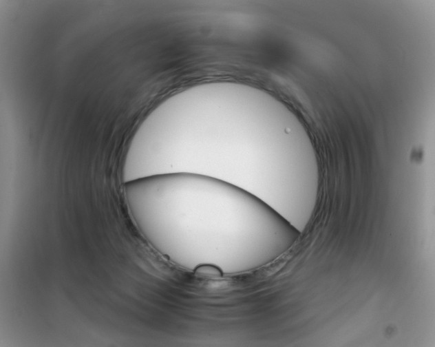 X0000102340173200808010921