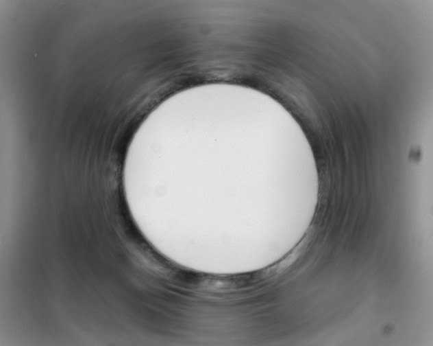 X0000102340174200808010921