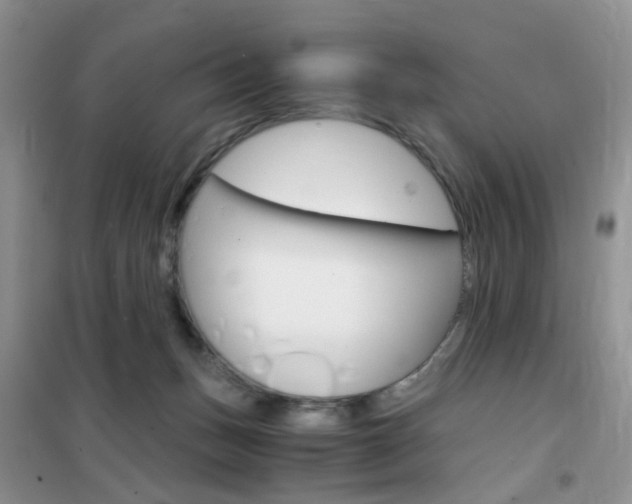 X0000102340175200808010921