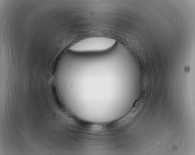 X0000102340176200808010921