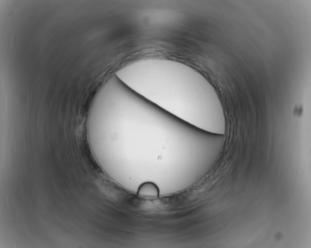 X0000102340177200808010921