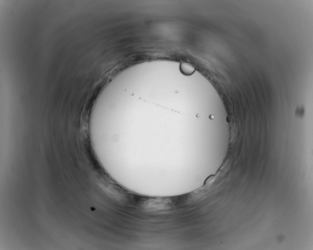 X0000102340179200808010921