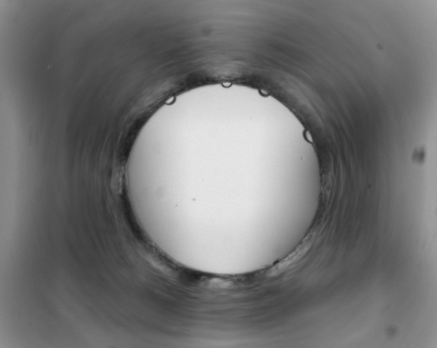 X0000102340180200808010921