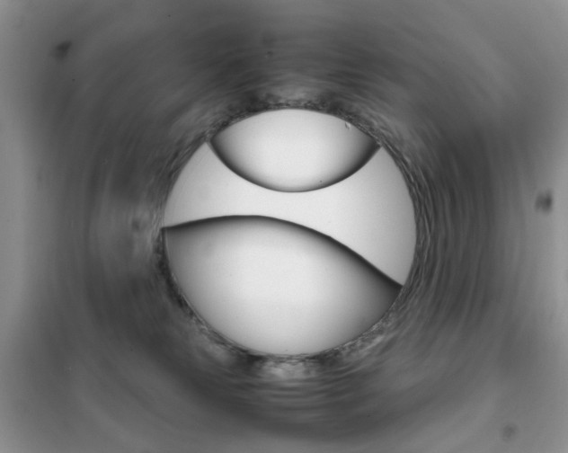 X0000102340181200808010921