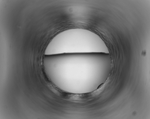 X0000102340182200808010921