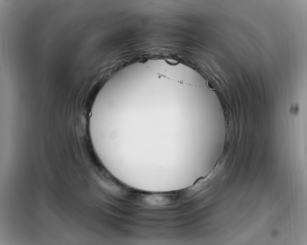 X0000102340183200808010921