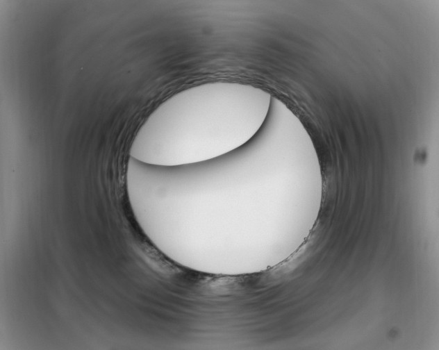 X0000102340186200808010921