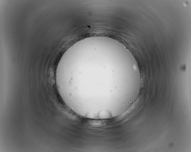X0000102340187200808010921