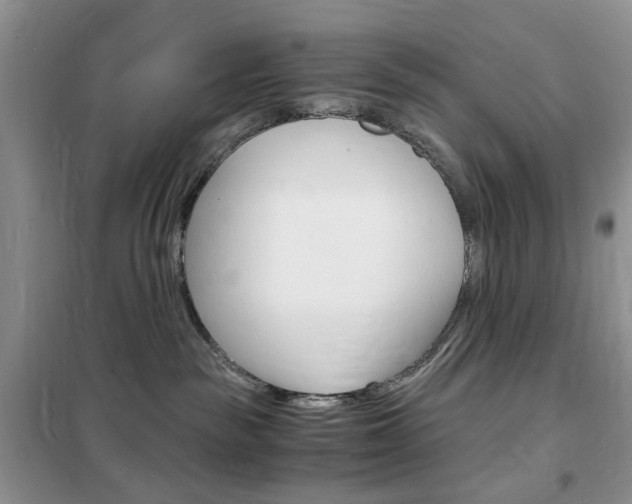 X0000102340189200808010921