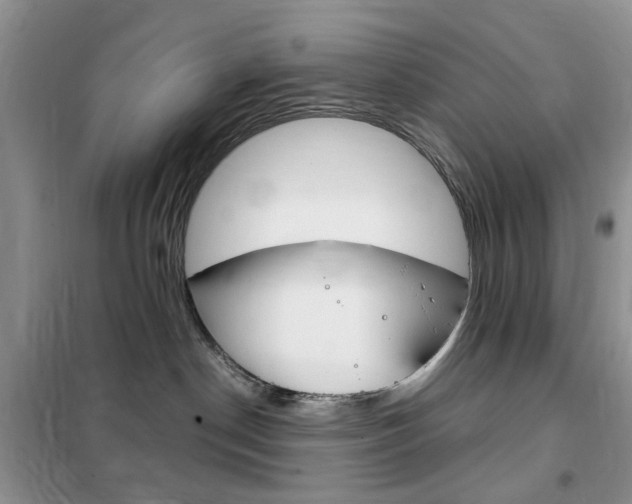 X0000102340190200808010921