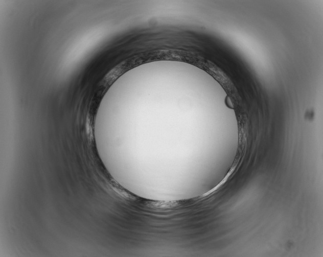 X0000102340191200808010921