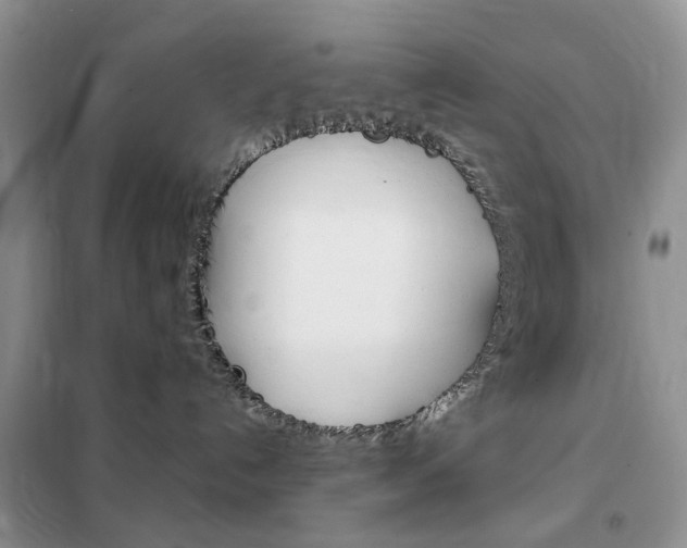 X0000102340192200808010921