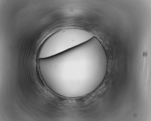 X0000102340194200808010921