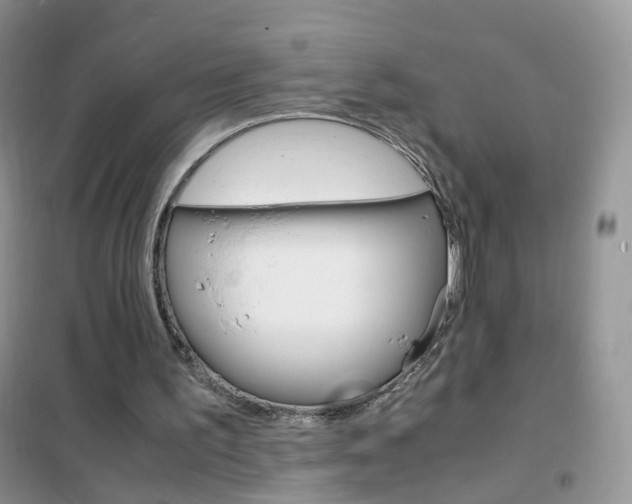 X0000102340195200808010921